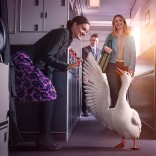 Air New Zealand. Awarded No. 1 Corporate Reputation in Australia, 3 years in a row.