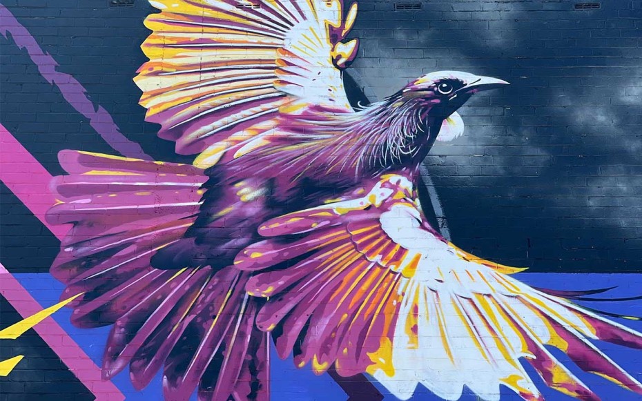 A mural of a bird in Invercargill, New Zealand
