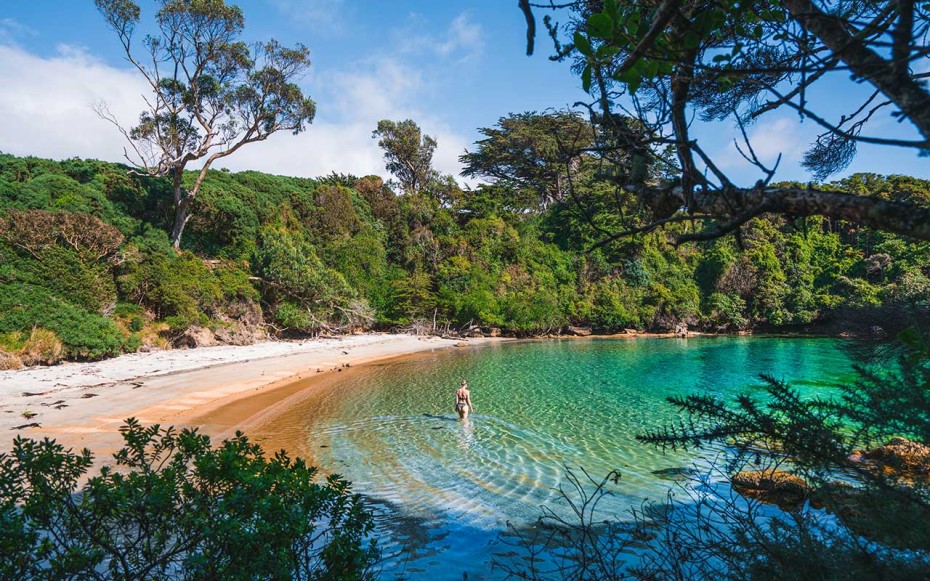 Bathing Beach in Rakiura Stewart Island, New Zealand