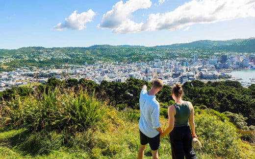 A couple looking at the view of Wellington from Mount Victoria
