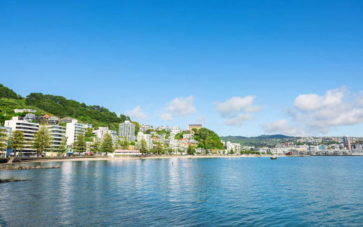 Views of Oriental Bay, Wellington