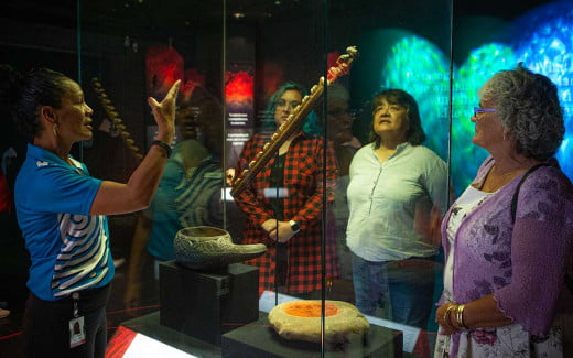 Knowing more about history and culture in Te Papa Museum, Wellington