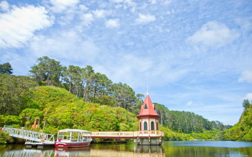 Explore more than just nature in Zealandia, Wellington