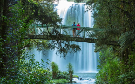 Otuihau Whangarei Falls, Whangarei New Zealand