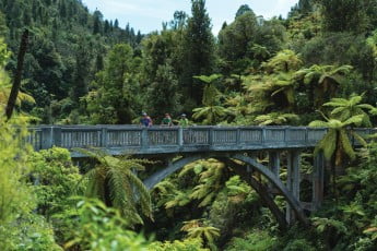 Bridge to Nowhere, Whanganui National Park, Ruapehu, New Zealand.