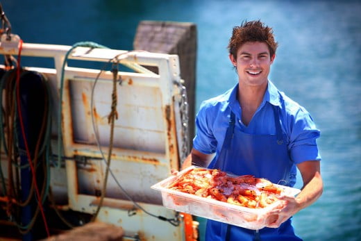 Fisherman with prawns, Sunshine Coast, Australia. 
