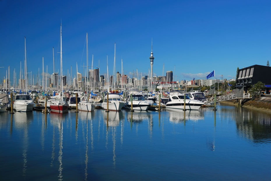 Marina, Auckland, NZ. 