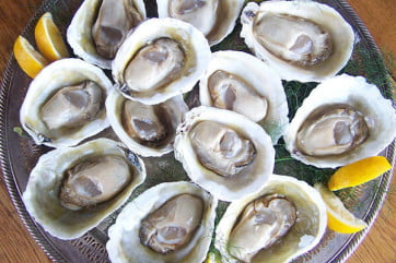 new-zealand-bluff-oysters-600x400