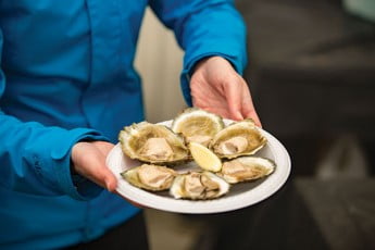 Invercargill Bluff oysters, New Zealand. 