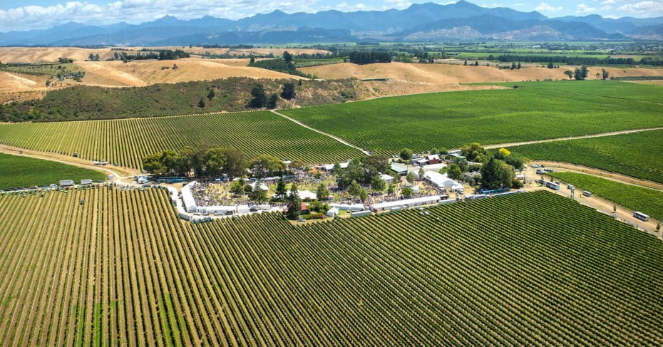 A view of Blenheim's Wine and Food Festival. 