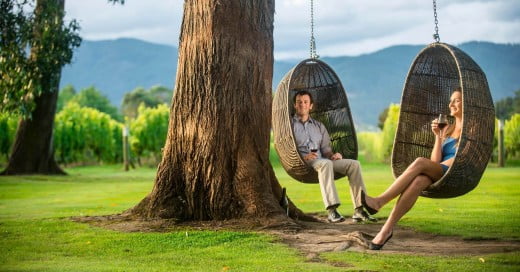 A couple in a tree swing at Cloudy Bay Winery, Marlborough. 