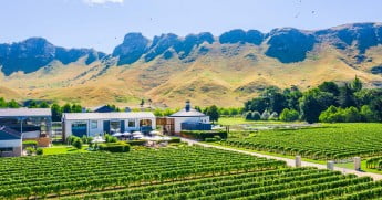 Craggy Range Winery, Napier, New Zealand. 