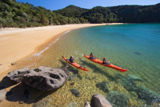 Two People Kayaking in Abel Tasman. 