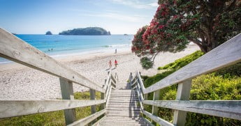 Summers Day at Hahei Beach, Coromandel Peninsula, New Zealand 