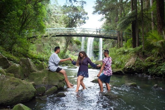 Crossing the river at Whangārei Falls, Northland, New Zealand. 