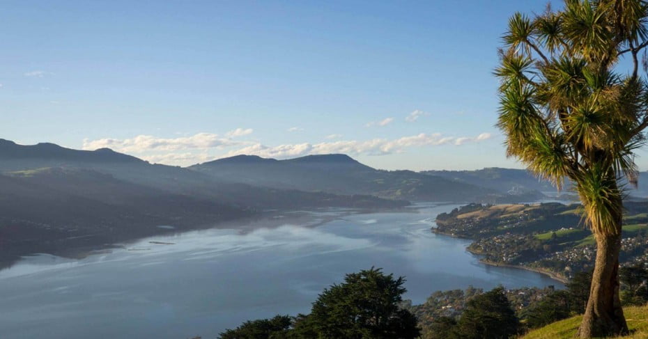 Views from Otago Peninsula. 