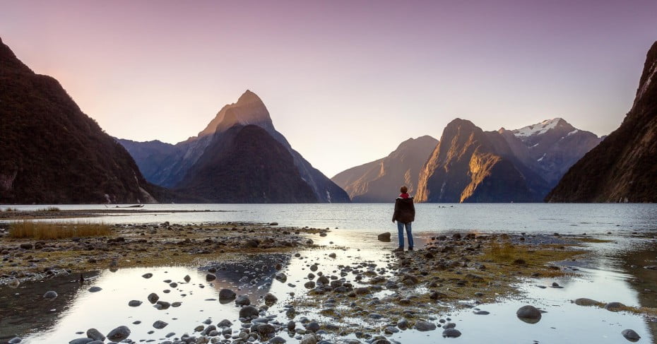 Man Looking at View Milford Sound Fiordland National Park, Queenstown, New Zealand 