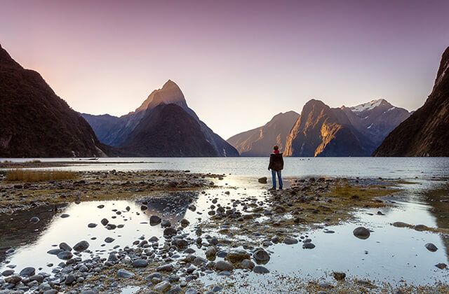 Man Looking at View Milford Sound Fiordland National Park, Queenstown, New Zealand 