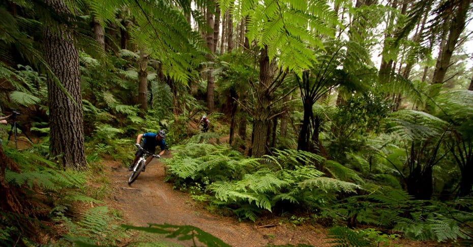 Mountain biking in forest, Rotorua, New Zealand. 