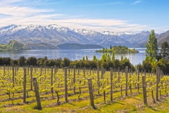 Nestled in Central Otago near Lake Wanaka, Rippon Vineyard offers an unbeatable view of land and water.