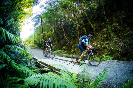 Remutaka Rail Trail, Wellington, New Zealand.  