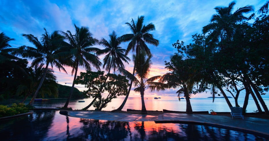 Tree silhouette, Fiji, Pacific Islands. 