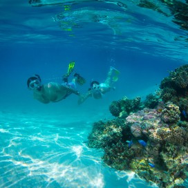 A couple snorkelling observing a reef, Rarotonga, Cook Islands. 