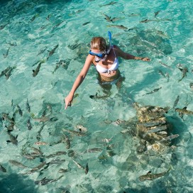 Surrounded by fish while snorkelling, Rarotonga, Cook Islands. 