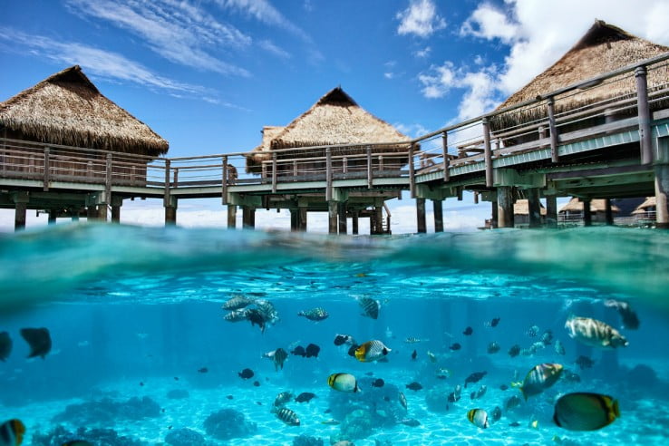 Huts overlooking lagoon full of fish in Tahiti  
