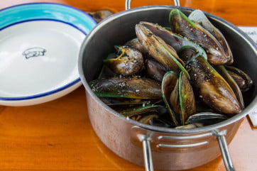 green lipped mussels steamed in new zealand