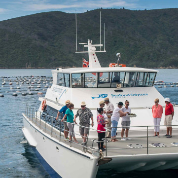 9 Green Shell Muscle Cruise 2800×1800